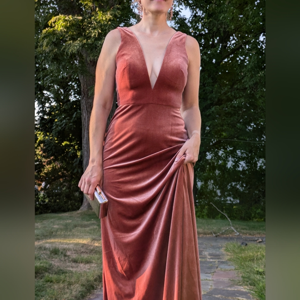 Jenny Yoo Logan Velvet Dress